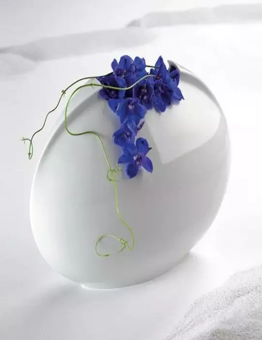 Tasca Vaso