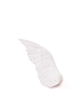 "MEMORABILIA MVSEVM" Ali