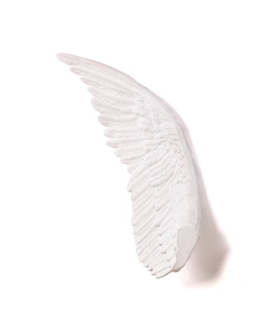 "MEMORABILIA MVSEVM" Ali