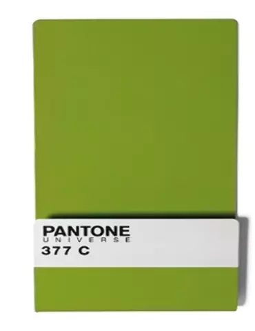 Pantone Wallstore 377C