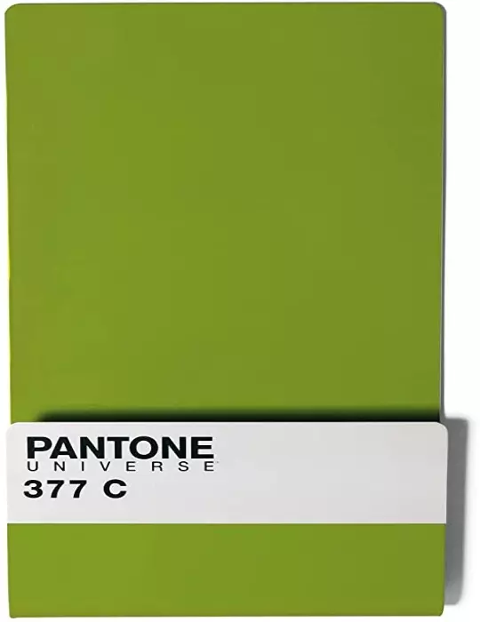 Pantone Wallstore 377C