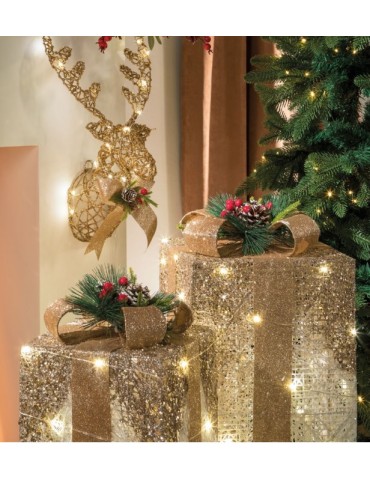 Pacco luminoso con led “Festa di luce” - L'oca Nera