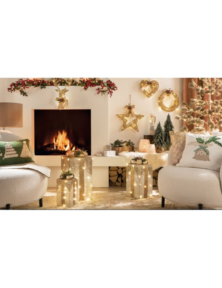 Pacco luminoso con led “Festa di luce” - L'oca Nera