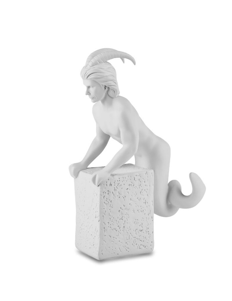 Capricorno Maschio - segno zodiacale Lamart