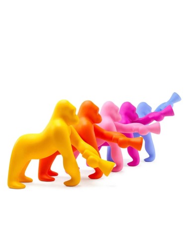 Kong XS