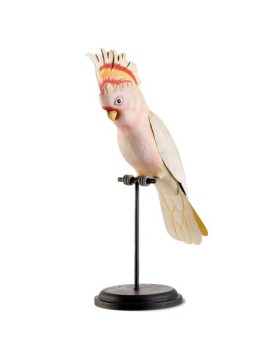 Cacatua di Leadbeater decorativo