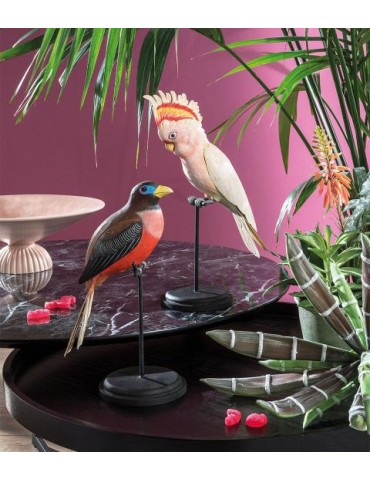 Cacatua di Leadbeater decorativo