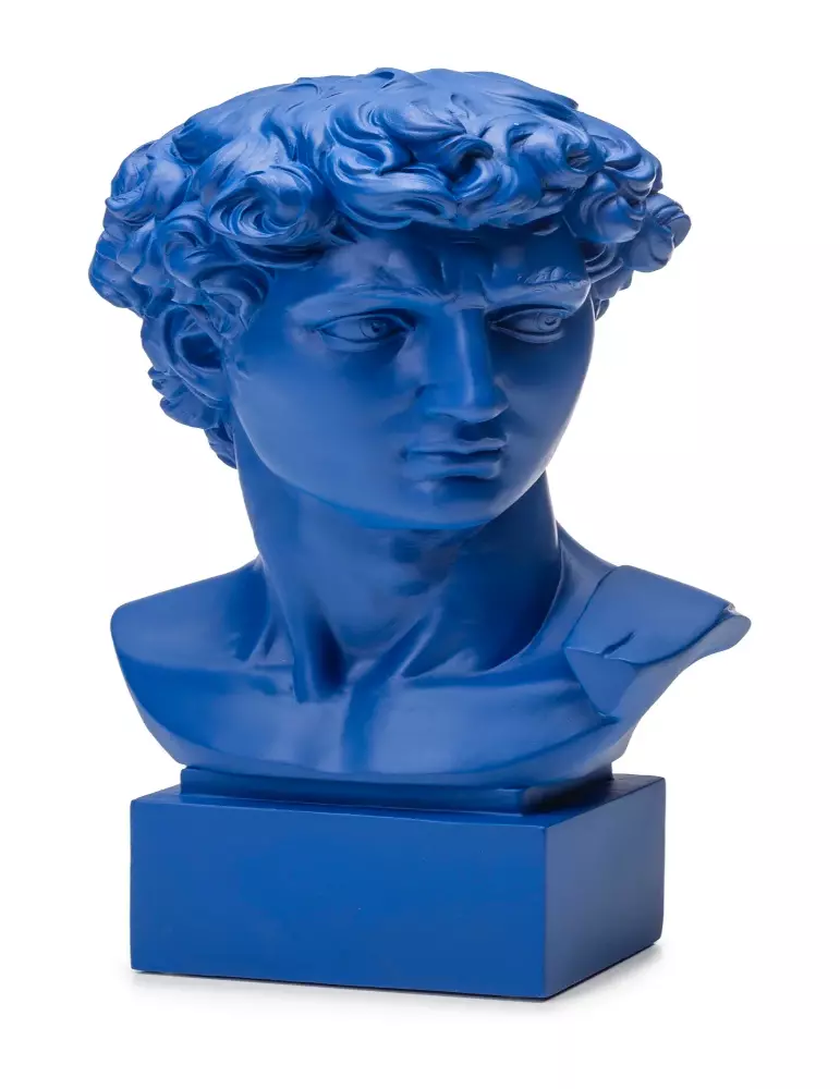 Busto David di Michelangelo