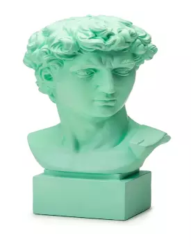 Busto David di Michelangelo