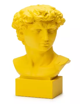 Busto David di Michelangelo