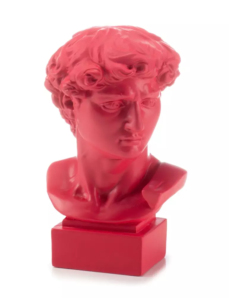 Busto David di Michelangelo