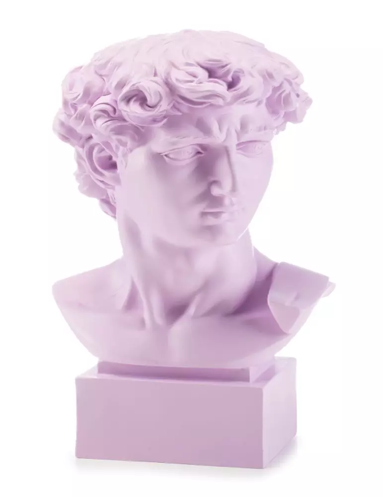 Busto David di Michelangelo