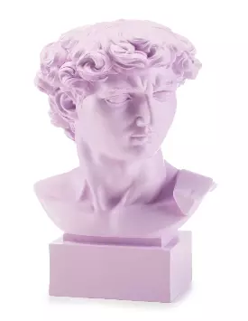 Busto David di Michelangelo