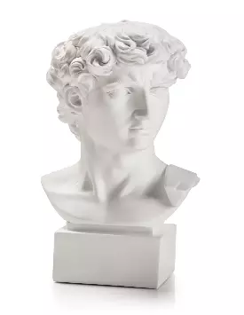 Busto David di Michelangelo