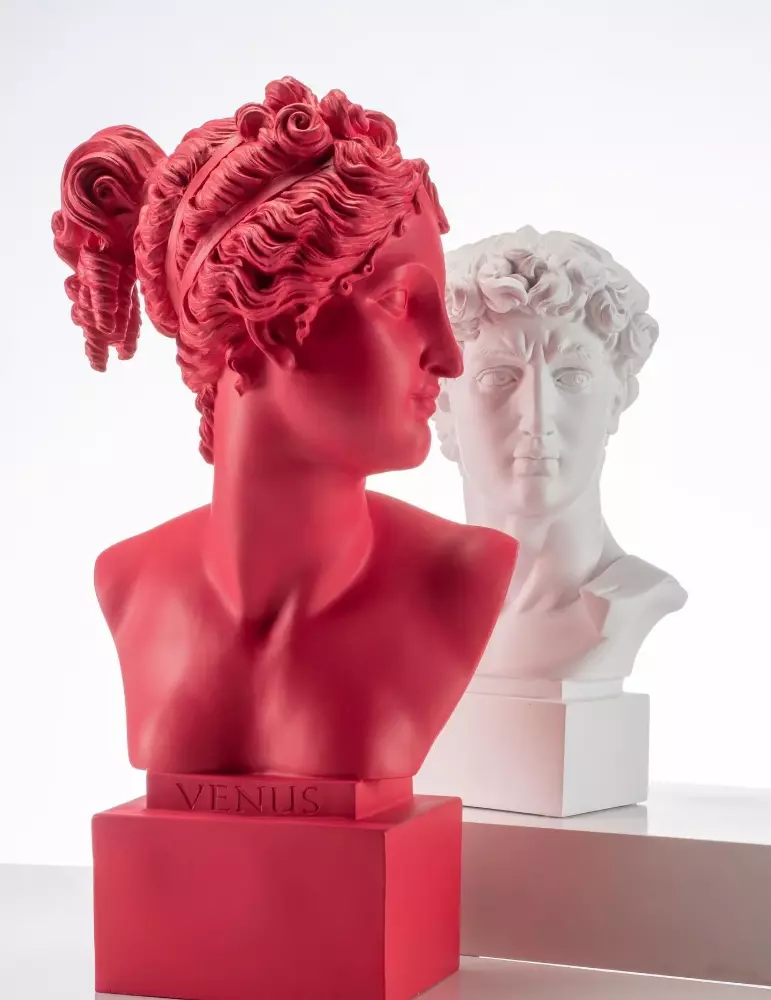 Busto David di Michelangelo